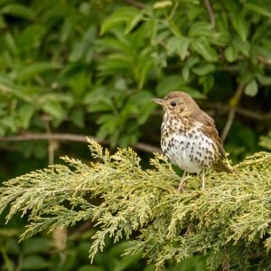 Untitled (313 Of 323).jpg